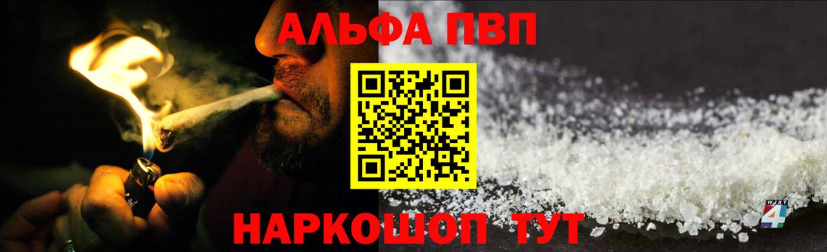Alfa_PVP СК КРИС Кириши