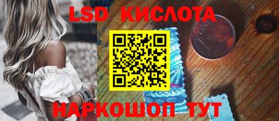 прущие грибы Бийск