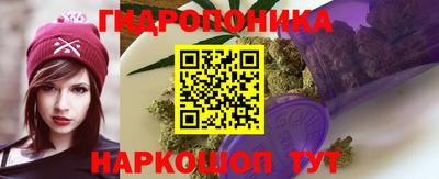 ГАЛЛЮЦИНОГЕННЫЕ ГРИБЫ Кандалакша
