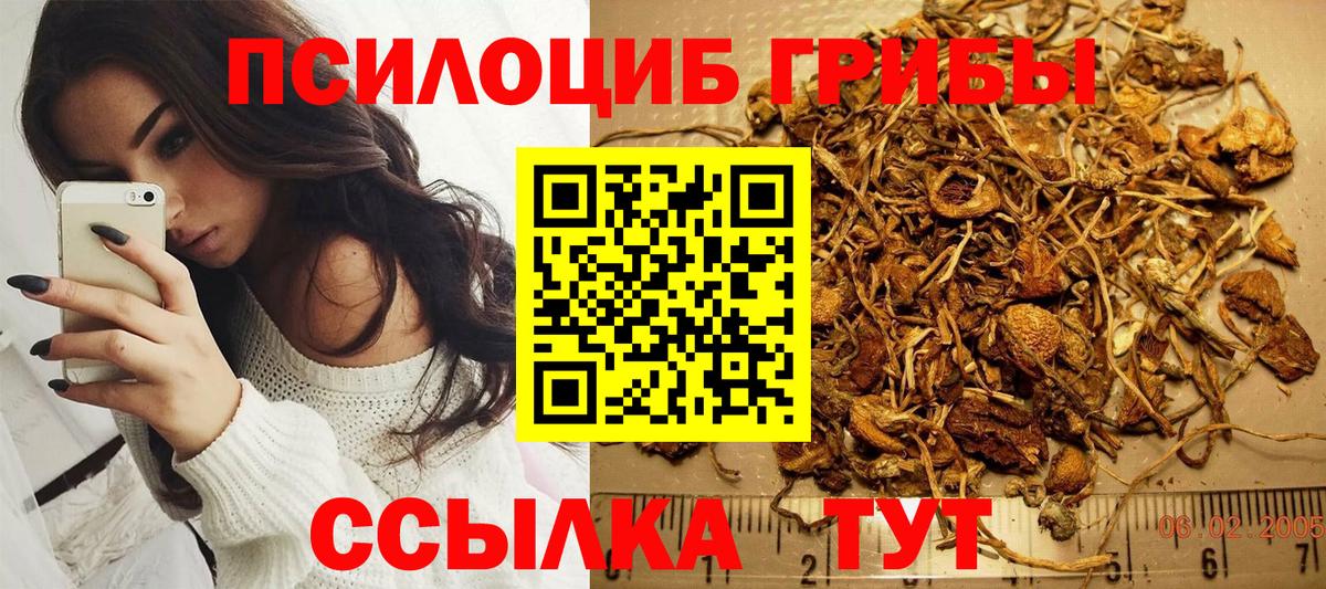 Галлюциногенные грибы прущие грибы  Псилоцибиновые грибы Cubensis  Кириши  Вход с VPN 